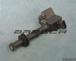 Bobine 1 Sortie 96563 - Ref 080655BR Bresch SAS