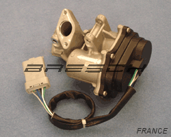 Vanne EGR Electrique G 020025N - Ref 241534 Bresch SAS