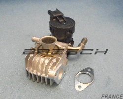 Vanne Egr Electrique 241731BR - Bresch SAS