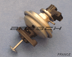 Vanne EGR Pneumatique 83660 - Ref 248033 Bresch SAS