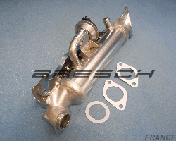Refroidisseur Egr 831982AS - Ref 248510BR Bresch SAS