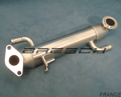 Refroidisseur Egr 1129189 - Ref 248626BR Bresch SAS