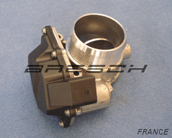 Corps Papillon 88168AS - Ref 250257 Bresch SAS