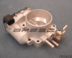 Corps Papillon 078133062A - Ref 250283 Bresch SAS