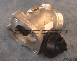 Corps Papillon 8D0145950 - Ref 250292 Bresch SAS