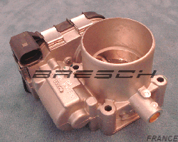 Corps Papillon 03F133062 - Ref 250332 Bresch SAS