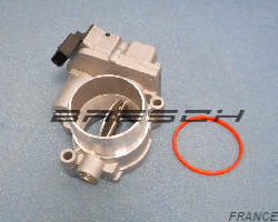 Corps Papillon 5WY9110D - Ref 250352 Bresch SAS