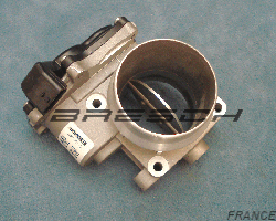 Corps Papillon 161A00161R - Ref 250363 Bresch SAS