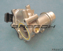 Corps Papillon 161A03415R - Ref 250395BR Bresch SAS