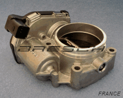 Corps Papillon 408242002011 - Ref 250420 Bresch SAS