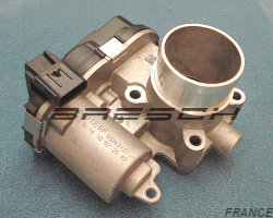 Corps Papillon 240640321 - Ref 250421 Bresch SAS