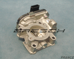 Corps Papillon 161200428R - Ref 250436BR Bresch SAS