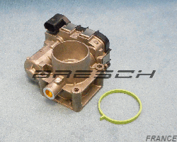Corps Papillon 40GTE3F2 - Ref 250441BR Bresch SAS