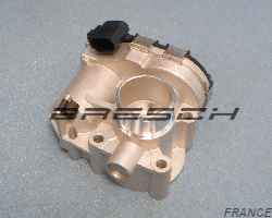 Corps Papillon 250459BR - Bresch SAS