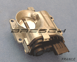 Corps Papillon 14289 - Ref 250509 Bresch SAS