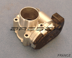Corps Papillon 8200330810 - Ref 250512 Bresch SAS