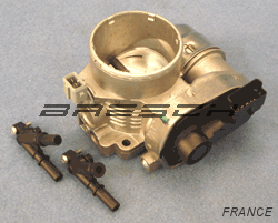 Corps Papillon 60CPM2 - Ref 250706 Bresch SAS