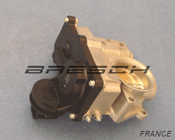 Corps Papillon 16119AX00C - Ref 250859 Bresch SAS