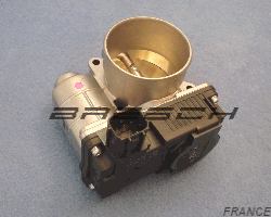Corps Papillon 161198H30B - Ref 250863 Bresch SAS