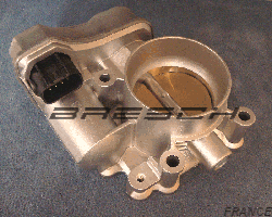 Corps Papillon 802000000014345 - Ref 250870 Bresch SAS