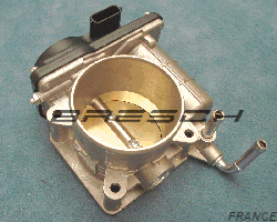 Corps Papillon 88160 - Ref 250880 Bresch SAS