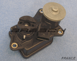 Moteur Volet Admission 556089 - Ref 250907 Bresch SAS