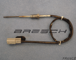 Capteur Température Echappement 226401632B - Ref 380303 Bresch SAS