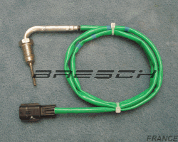 Capteur Température Echappement 226400160R - Ref 380482 Bresch SAS