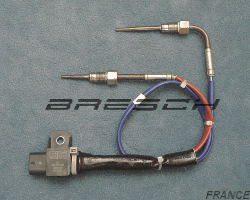 2 Capteurs Température Echappement + Module 3HTS0923 - Ref 380496 Bresch SAS
