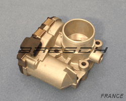 Corps Papillon 556232R - Ref 750042 Bresch SAS