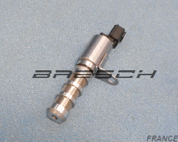 Actuateur Dephasage 791547BR - Bresch SAS