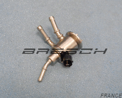 Injecteur Fap  0932016 - Ref 889162BR Bresch SAS