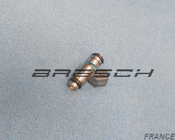 Injecteur MultiPoint 81236AS - Ref IWP042 Bresch SAS