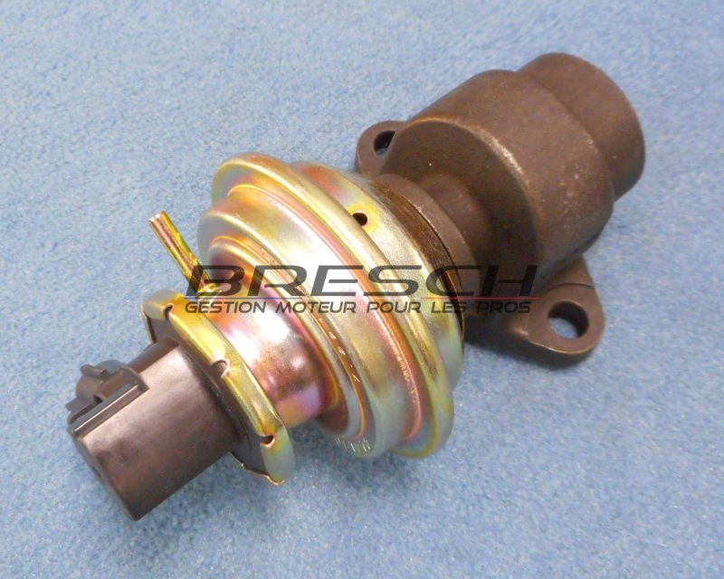VANNE EGR PNEU-ELEC