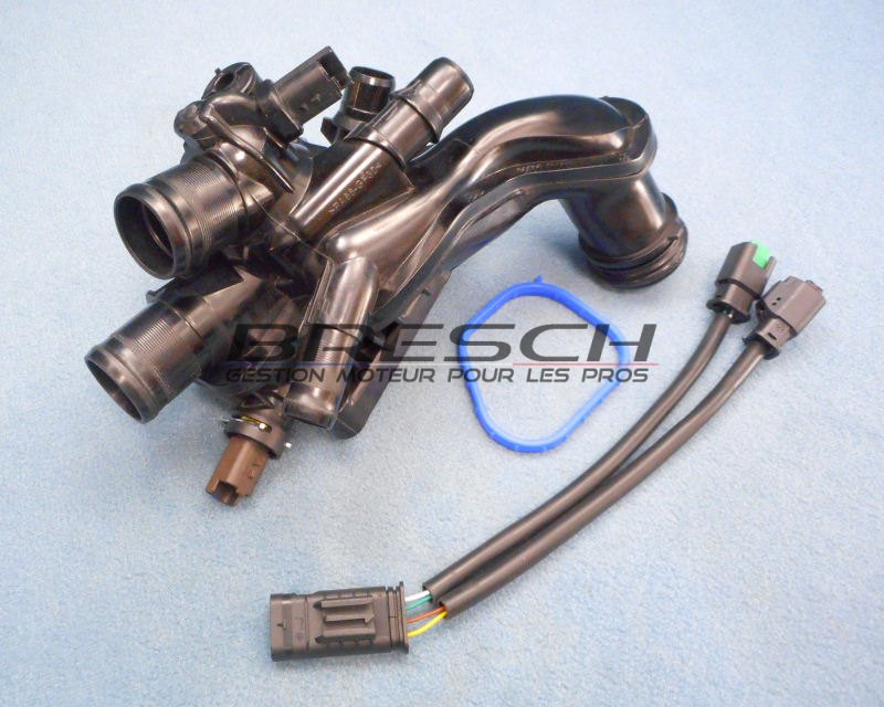 BOITIER THERMOSTAT + CABLAGE